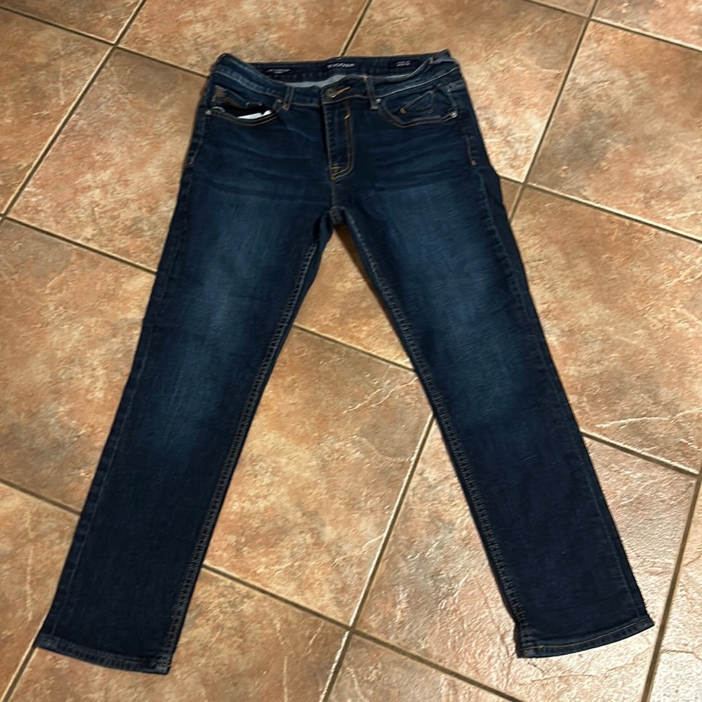 Vigoss The Thompson Tomboy Women's Jeans Size 29 (feels like a 28)